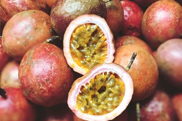 bayan_fruit_image-1 bayan_fruit_image-1