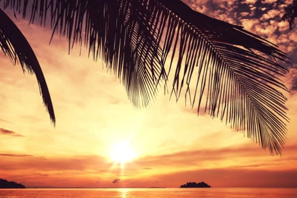 d110b5f77516da8364b69f945f240a80ffb7b940 d110b5f77516da8364b69f945f240a80ffb7b940